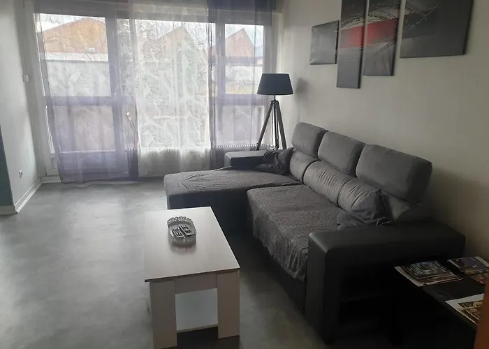 Mulhouse,Grand appart cosy&lumineux, 78m2 , pour 6 personnes